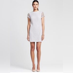 Banana Republic Mesh Sleeve Dress